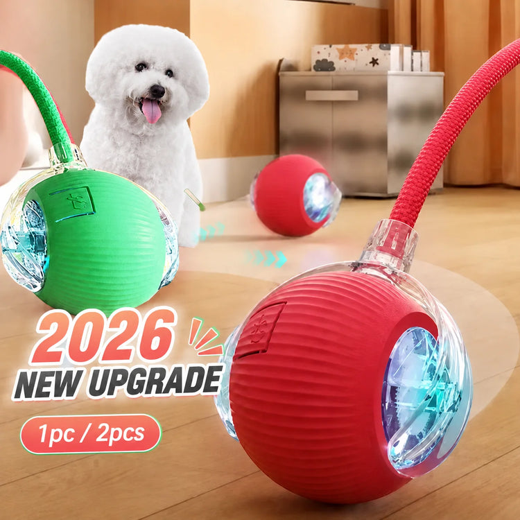 Rechargeable Interactive Dog Ball Toy