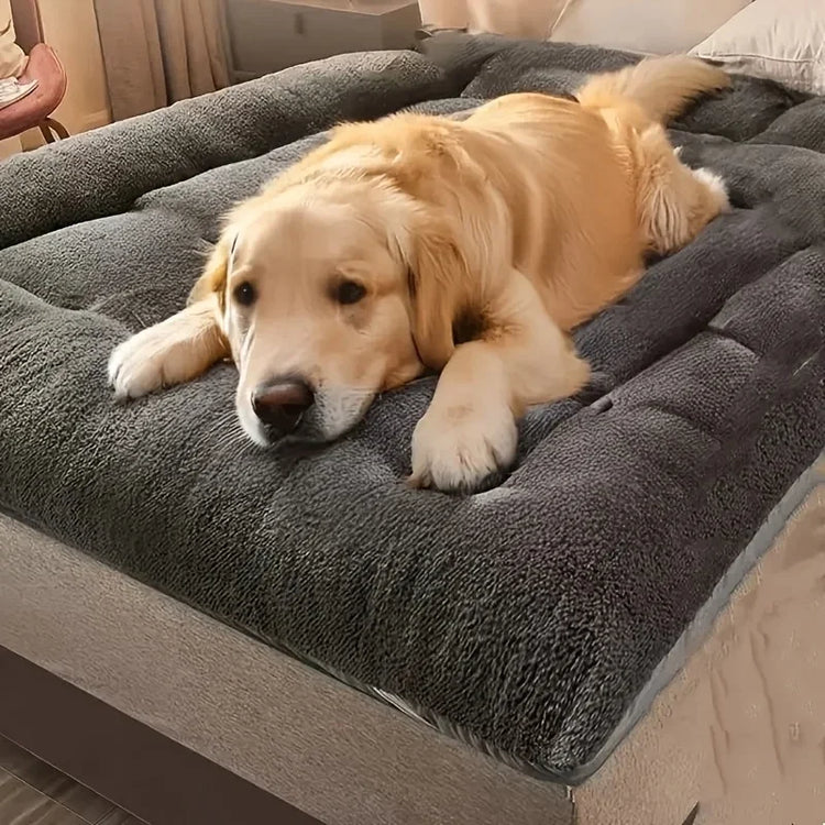 Soft Plush Pet Bed & Cozy Sofa Mat For Dogs & Cats