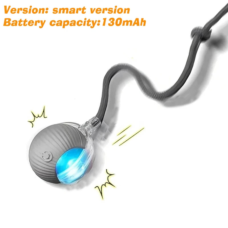 Rechargeable Interactive Dog Ball Toy