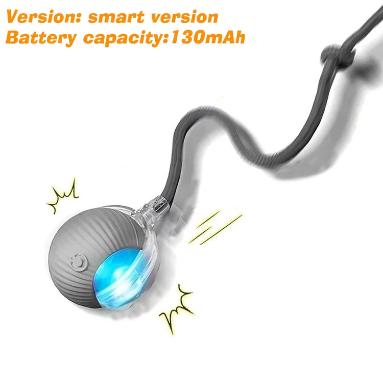 Rechargeable Interactive Dog Ball Toy