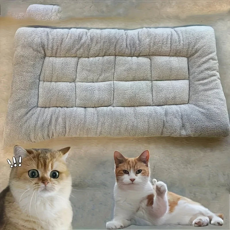 Soft Plush Pet Bed & Cozy Sofa Mat For Dogs & Cats