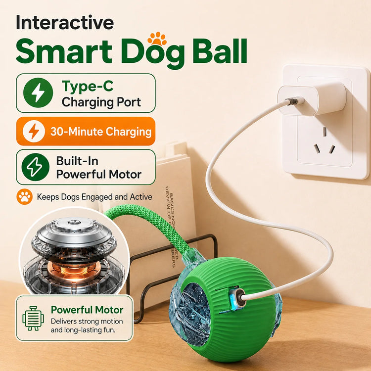 Rechargeable Interactive Dog Ball Toy
