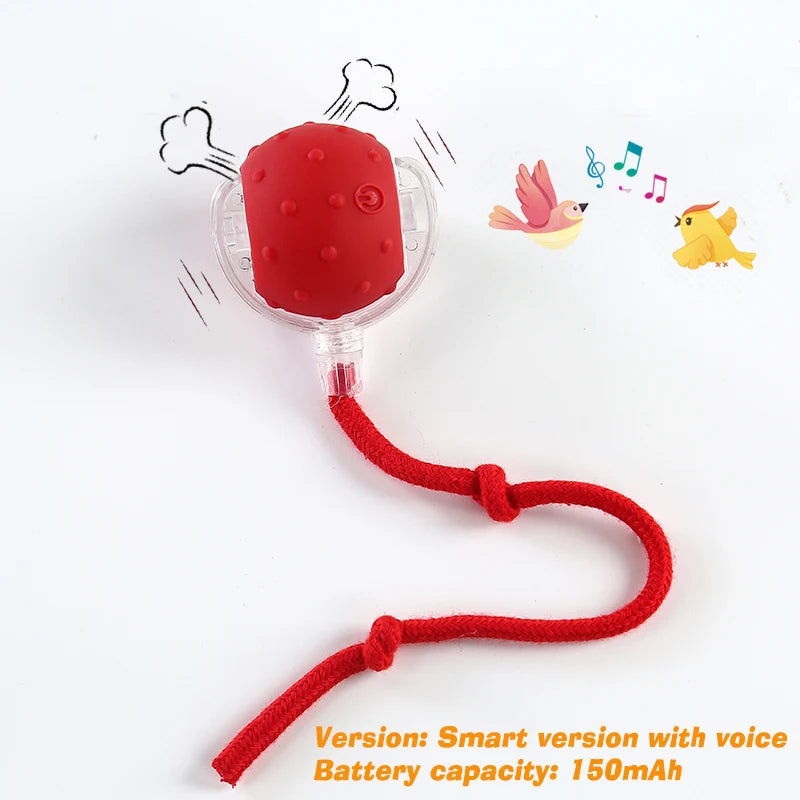 Rechargeable Interactive Dog Ball Toy