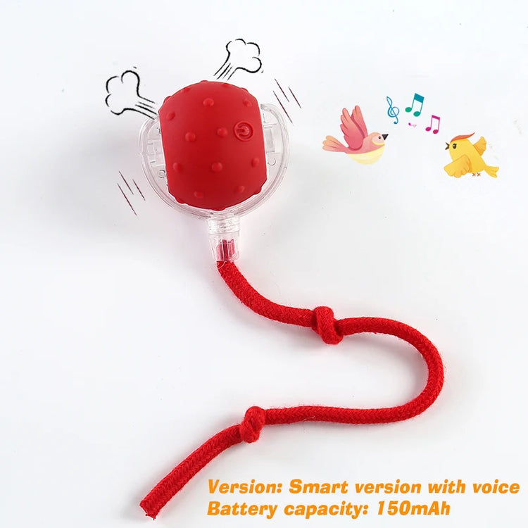 Rechargeable Interactive Dog Ball Toy