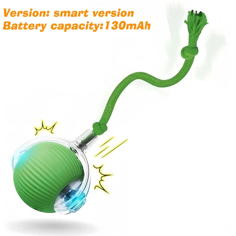 Rechargeable Interactive Dog Ball Toy