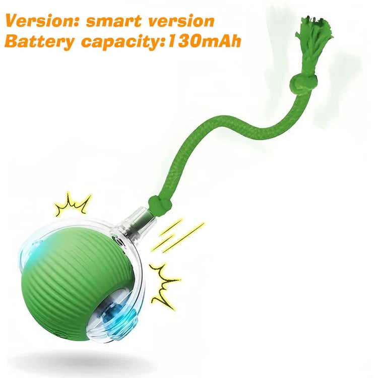 Rechargeable Interactive Dog Ball Toy