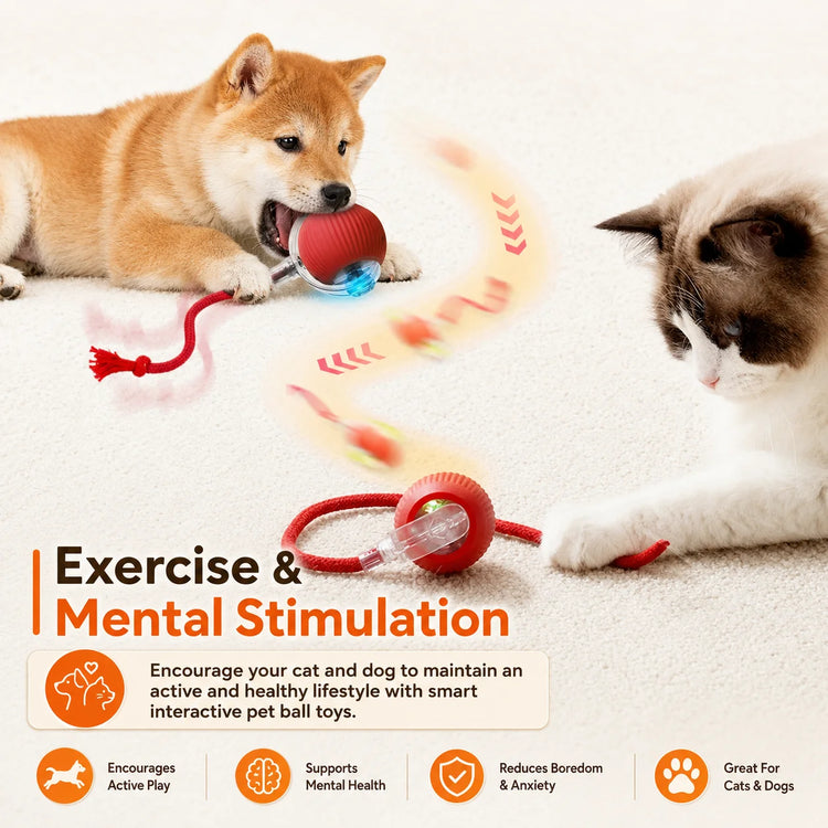 Rechargeable Interactive Dog Ball Toy