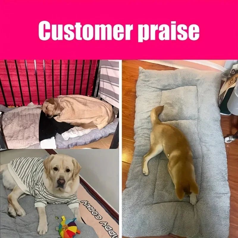 Soft Plush Pet Bed & Cozy Sofa Mat For Dogs & Cats