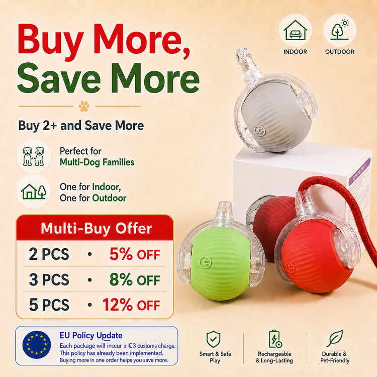Rechargeable Interactive Dog Ball Toy